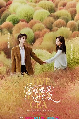 网站自动优化系统设置